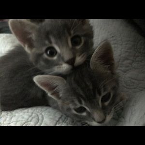 Meet your Posher, Ana